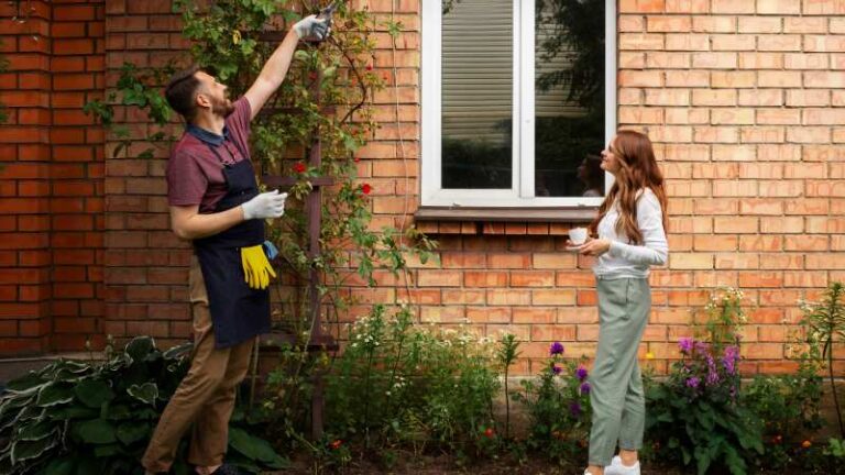 Year-Round Pest Control Tips for Charlotte, NC Homeowners